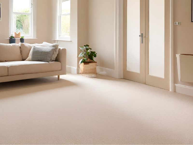 Professionally Adjusting Doors for New Carpet Installations